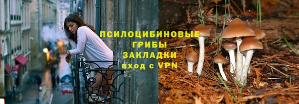 соль ск Навашино