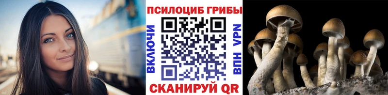 Галлюциногенные грибы Cubensis  Купить  Снежинск 